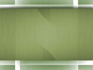 SEO优化书籍推荐站：书评关键词的优化策略